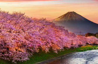 Весенний рассвет в Японии