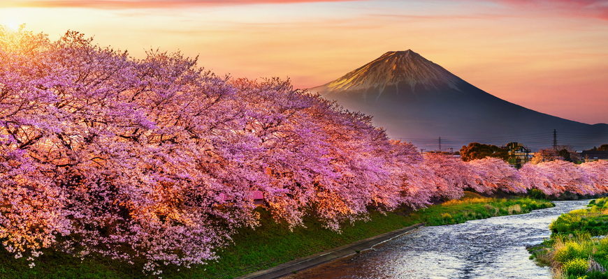 Весенний рассвет в Японии