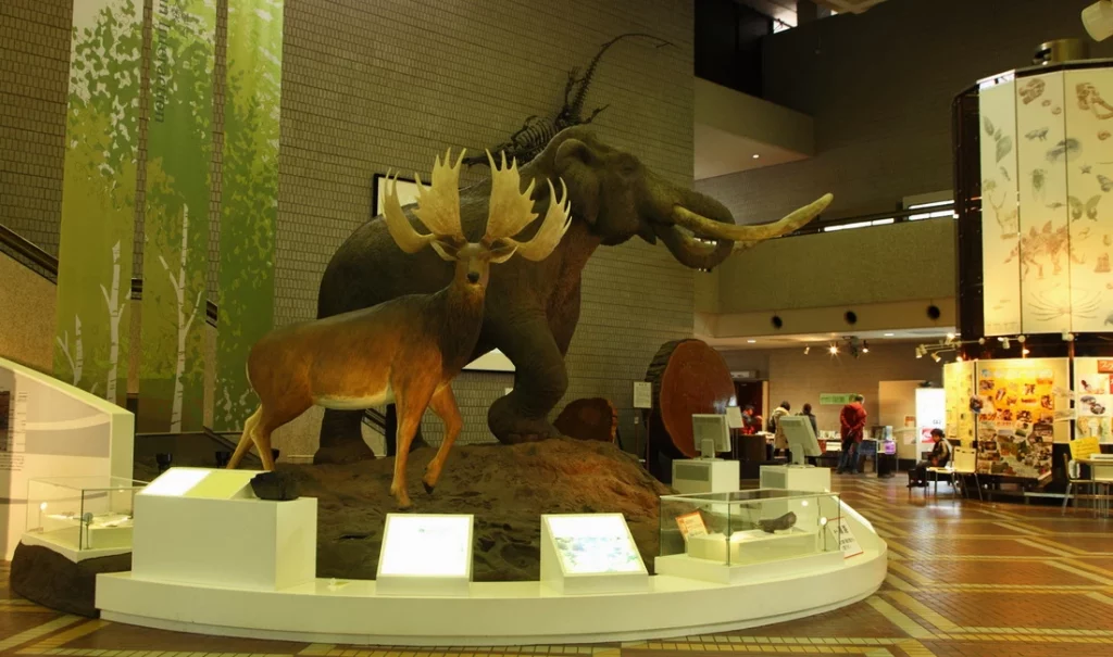Выставка животный в музее естественной истории Осаки