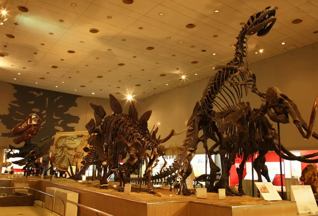 Скелеты динозавров в Осакском музее естественной истории